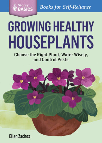 How to Repot Houseplants